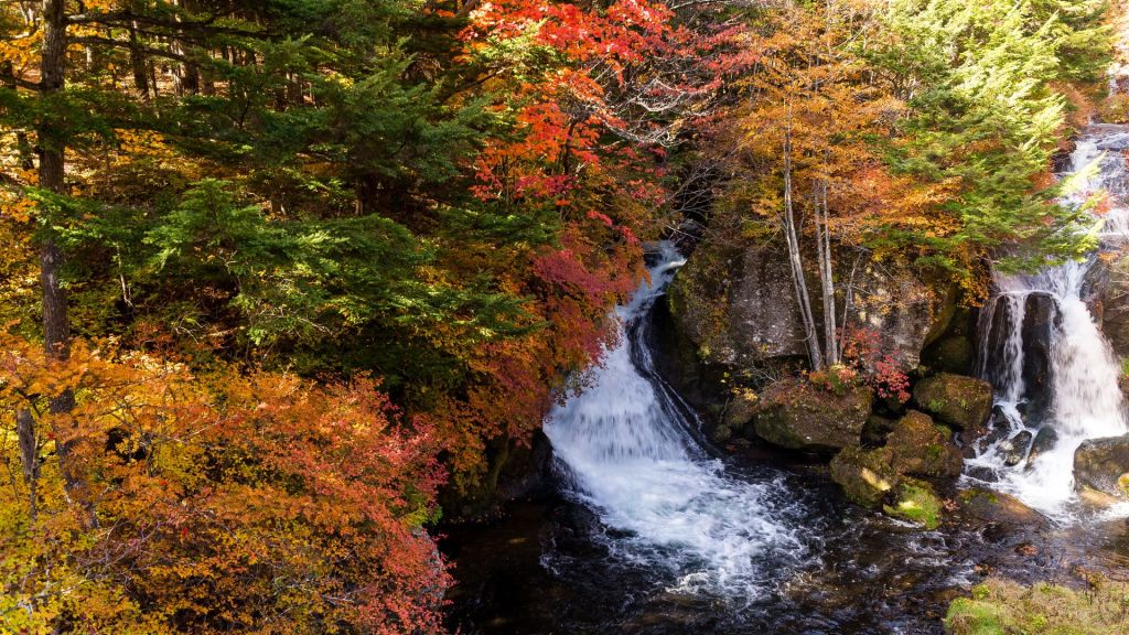 Du lịch bụi cuối tuần tại Nhật Bản – Trốn khỏi đô thị, nạp lại năng&nbsp;lượng